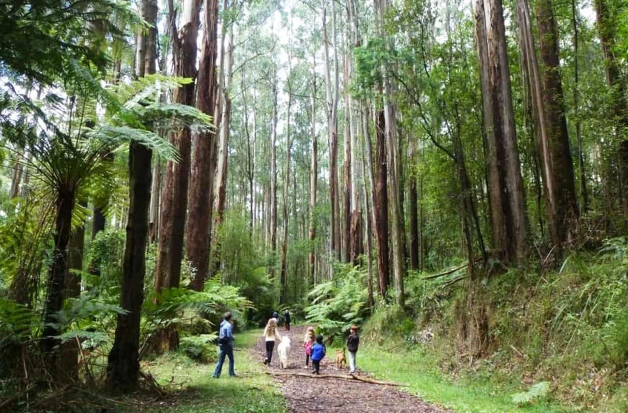 Ferny Hill Retreat, Emerald Victoria Exterior foto